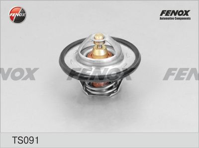 Термостат, охлаждающая жидкость FENOX TS091 для FIAT 850