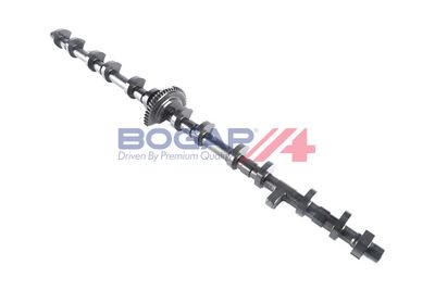 ARBORE EXCENTRIC REGLAREA ARBORELUI CU CAME BOGAP B1924100 1