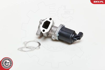 EGR Valve 14SKV039