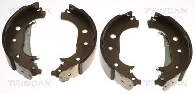 Set saboti frana TRISCAN 8100 16016