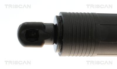 AMORTIZOR PORTBAGAJ TRISCAN 871028302 1