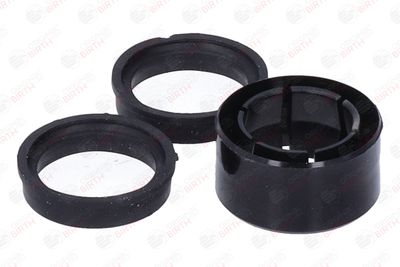 BUCSA ARBORE DE DIRECTIE BIRTH 4142 5