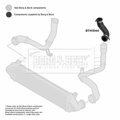 Charge Air Hose Borg & Beck BTH1544