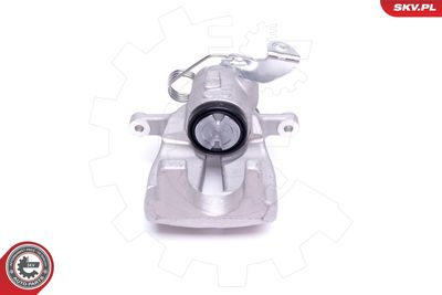 Brake Caliper 46SKV653