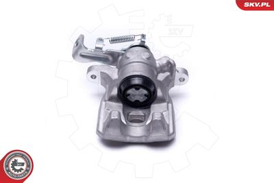 Brake Caliper 55SKV844