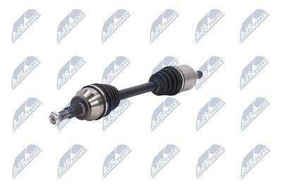 PLANETARA NTY NPWFR045 19