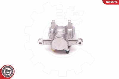 Brake Caliper 23SKV773