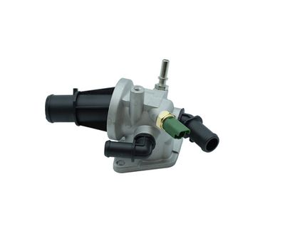 TERMOSTAT LICHID RACIRE