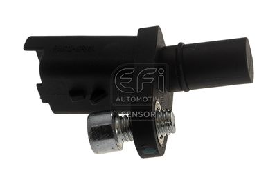датчик, обороти на колелото EFI AUTOMOTIVE 302465
