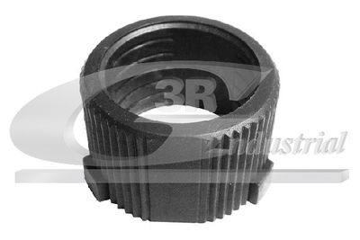 BUCSA ARBORE DE DIRECTIE