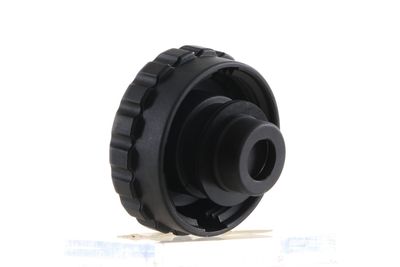 BUSON VAS EXPANSIUNE MAHLE CRB107000S 24