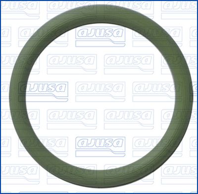 GARNITURA CONDUCTA SUPAPA-AGR