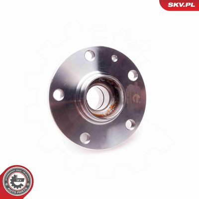 SET RULMENT ROATA ESEN SKV 29SKV006 2