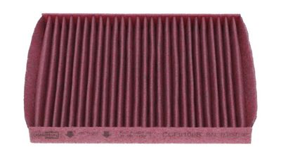 FILTER INNENRAUMLUFT CHAMPION CCF0100B