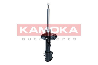 Shock Absorber 2001101