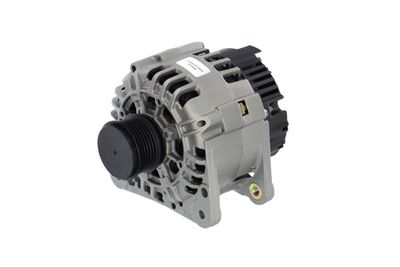 GENERATOR / ALTERNATOR REMANTE 011003000369R 6