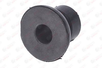 BUCSA ARBORE DE DIRECTIE BIRTH 40641 8