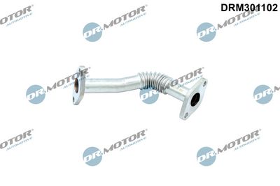 Dr.Motor Automotive Vamzdis, EGR vožtuvas