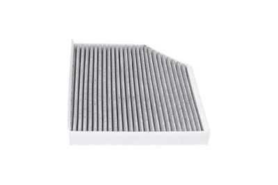 FILTRU AER HABITACLU AMC Filter FCA10177C 16