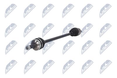 PLANETARA NTY NPWKA388 19