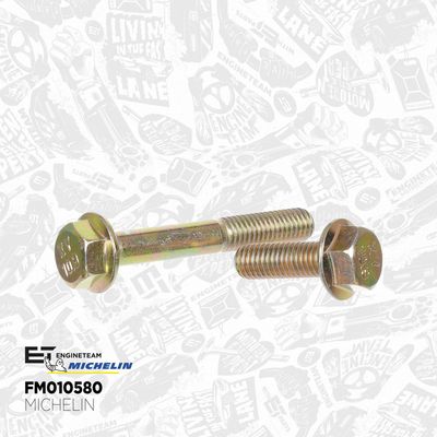 SET CUREA DE DISTRIBUTIE ET ENGINETEAM RM0037 7
