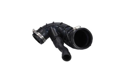 FURTUN EAR SUPRAALIMENTARE