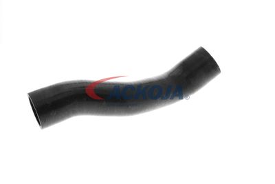 FURTUN EAR SUPRAALIMENTARE ACKOJA A389605 55
