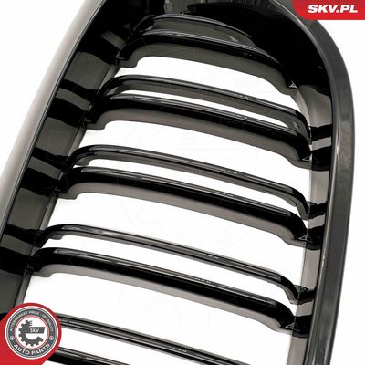 GRILA RADIATOR ESEN SKV 66SKV073 6