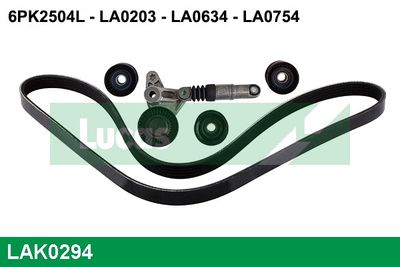 SET CUREA TRANSMISIE CU CANELURI