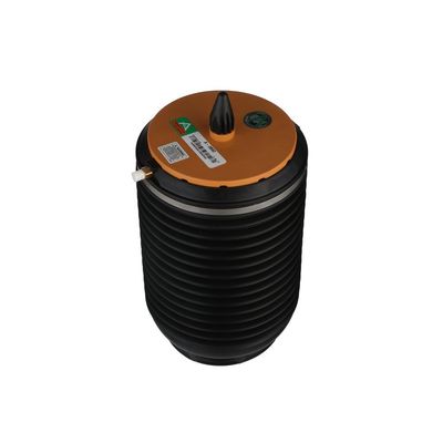 LUFTFEDER FAHRWERK Arnott A3892 56