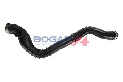 FURTUN EAR SUPRAALIMENTARE BOGAP B1711189 1