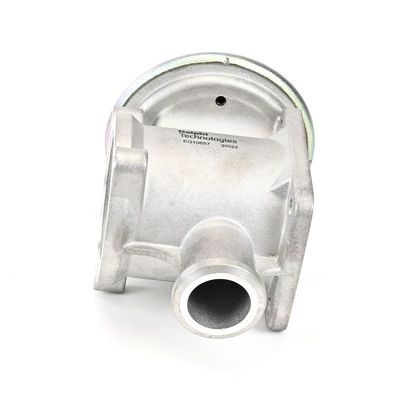 AGR-VENTIL DELPHI EG1065712B1 1