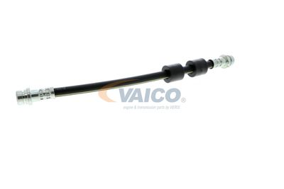 FURTUN FRANA VAICO V251328 31