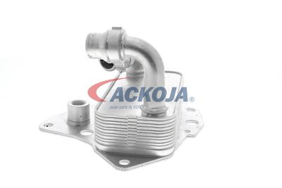 RADIATOR ULEI ULEI MOTOR VEMO V24600051 26