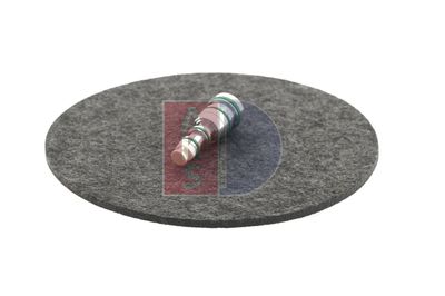 REGELVENTIL KOMPRESSOR AKS DASIS 859025N 12