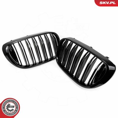 GRILA RADIATOR ESEN SKV 66SKV223 2