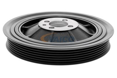 FULIE CUREA ARBORE COTIT VAICO V400960 43