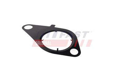 GARNITURA VENTIL AGR FAST FT13434 10