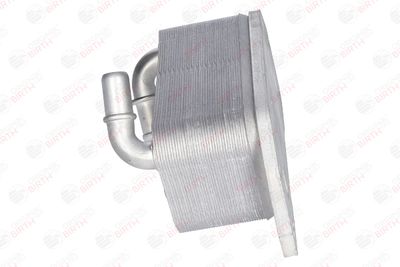 RADIATOR ULEI ULEI MOTOR BIRTH 80801 4