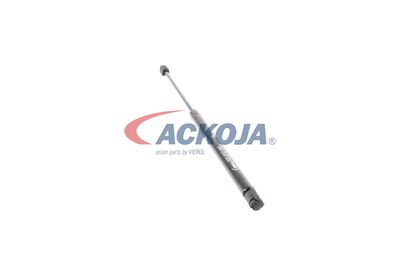 AMORTIZOR PORTBAGAJ ACKOJA A370061 47