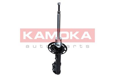 Shock Absorber 2000148