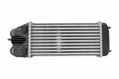 INTERCOOLER COMPRESOR HELLA 8ML366340621 2