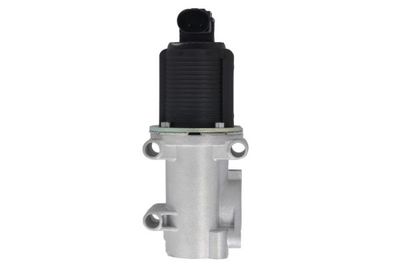 EGR Valve ENT500029