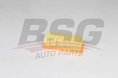 Воздушный фильтр BSG BSG 75-135-017 для RENAULT KANGOO