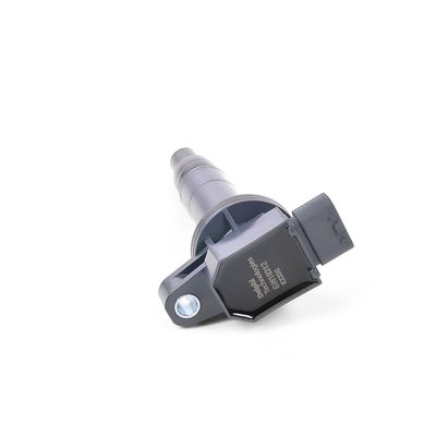 ZüNDSPULE DELPHI GN1031212B1 24