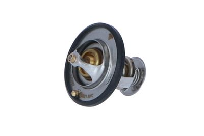 TERMOSTAT LICHID RACIRE NRF 725087 13