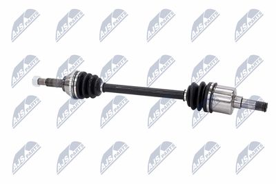 PLANETARA NTY NPWFR031 27