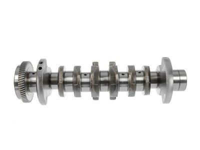 ARBORE COTIT ET ENGINETEAM HK0183 19