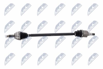 PLANETARA NTY NPWFR189 26