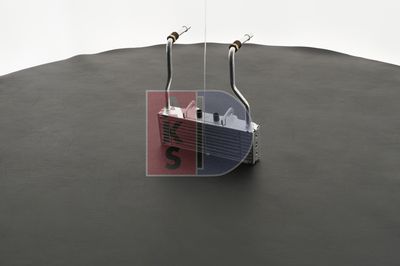 ÖLKüHLER MOTORöL AKS DASIS 066000N 9